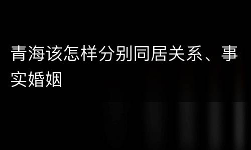 青海该怎样分别同居关系、事实婚姻
