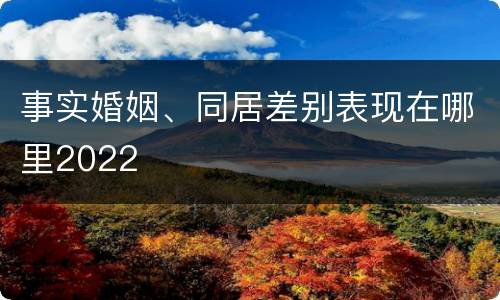 事实婚姻、同居差别表现在哪里2022
