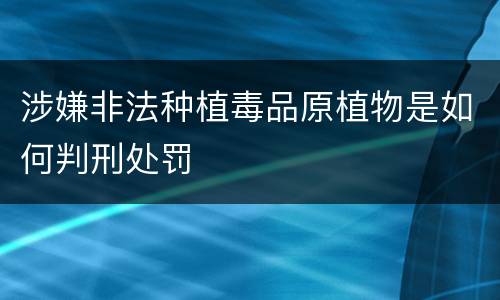 涉嫌非法种植毒品原植物是如何判刑处罚