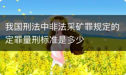 我国刑法中非法采矿罪规定的定罪量刑标准是多少