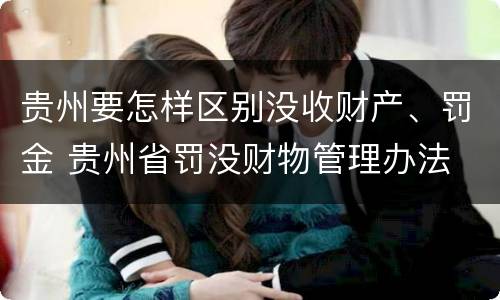 贵州要怎样区别没收财产、罚金 贵州省罚没财物管理办法