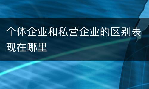个体企业和私营企业的区别表现在哪里
