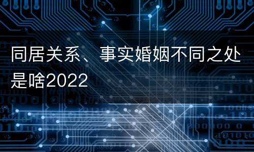 同居关系、事实婚姻不同之处是啥2022