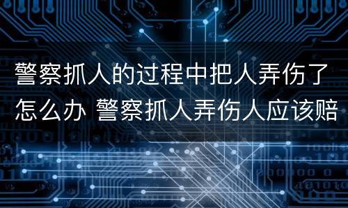 警察抓人的过程中把人弄伤了怎么办 警察抓人弄伤人应该赔么