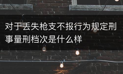 对于丢失枪支不报行为规定刑事量刑档次是什么样