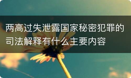 两高过失泄露国家秘密犯罪的司法解释有什么主要内容