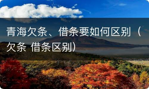 青海欠条、借条要如何区别（欠条 借条区别）