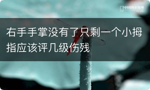 右手手掌没有了只剩一个小拇指应该评几级伤残