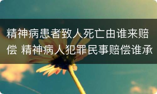 精神病患者致人死亡由谁来赔偿 精神病人犯罪民事赔偿谁承担