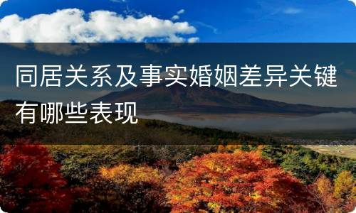 同居关系及事实婚姻差异关键有哪些表现