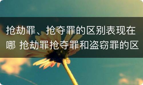 抢劫罪、抢夺罪的区别表现在哪 抢劫罪抢夺罪和盗窃罪的区别