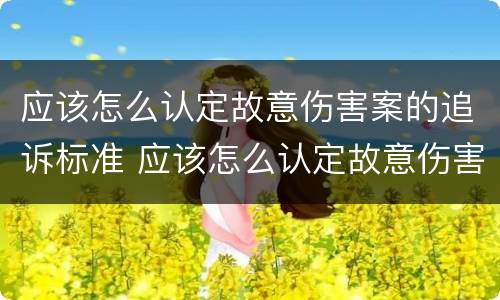 应该怎么认定故意伤害案的追诉标准 应该怎么认定故意伤害案的追诉标准呢