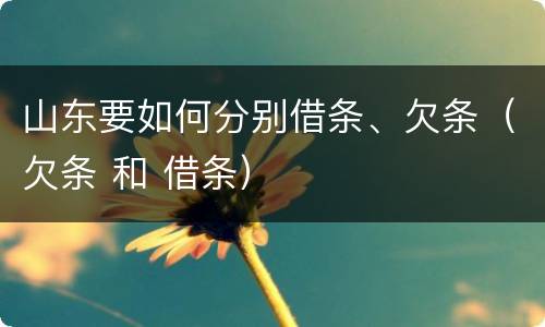 山东要如何分别借条、欠条（欠条 和 借条）