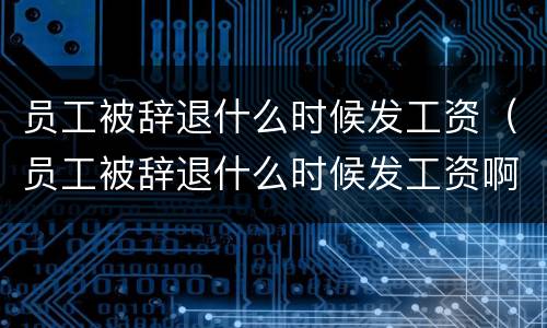 员工被辞退什么时候发工资（员工被辞退什么时候发工资啊）