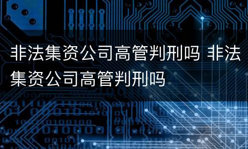 非法集资公司高管判刑吗 非法集资公司高管判刑吗