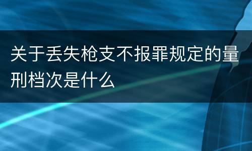 关于丢失枪支不报罪规定的量刑档次是什么