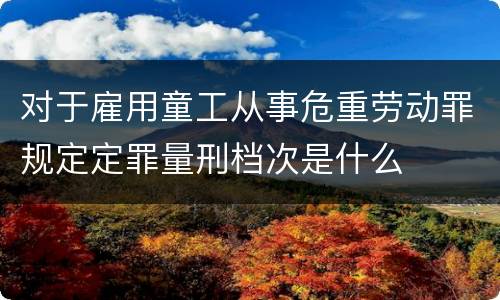对于雇用童工从事危重劳动罪规定定罪量刑档次是什么