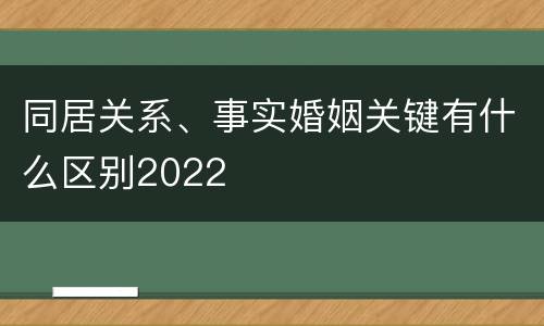 同居关系、事实婚姻关键有什么区别2022
