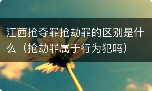 江西抢夺罪抢劫罪的区别是什么（抢劫罪属于行为犯吗）