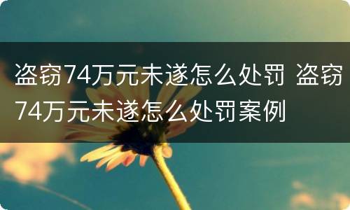 盗窃74万元未遂怎么处罚 盗窃74万元未遂怎么处罚案例