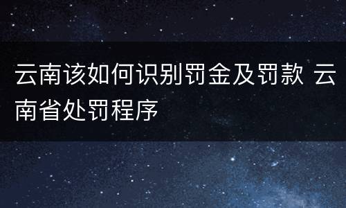 云南该如何识别罚金及罚款 云南省处罚程序