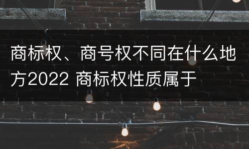 商标权、商号权不同在什么地方2022 商标权性质属于