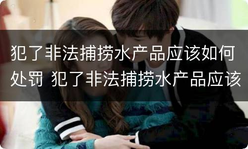 犯了非法捕捞水产品应该如何处罚 犯了非法捕捞水产品应该如何处罚他人
