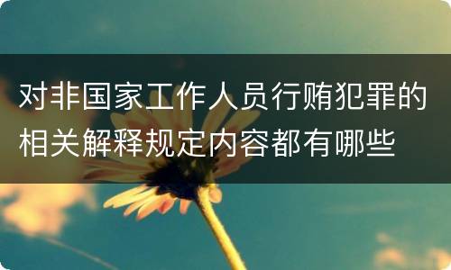 对非国家工作人员行贿犯罪的相关解释规定内容都有哪些