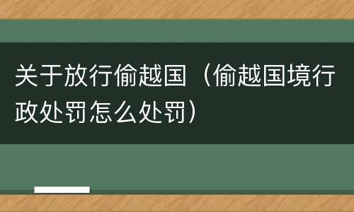 关于放行偷越国（偷越国境行政处罚怎么处罚）