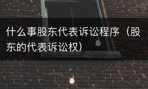 什么事股东代表诉讼程序（股东的代表诉讼权）