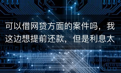 可以借网贷方面的案件吗，我这边想提前还款，但是利息太高