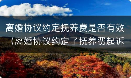 离婚协议约定抚养费是否有效（离婚协议约定了抚养费起诉后抚养费）