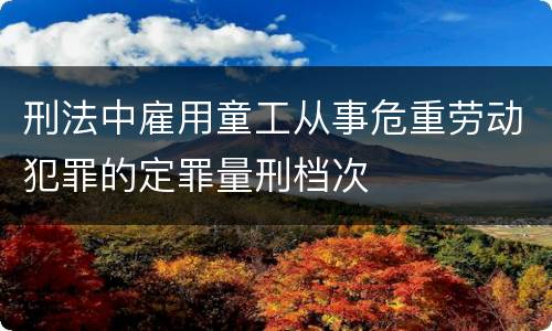刑法中雇用童工从事危重劳动犯罪的定罪量刑档次