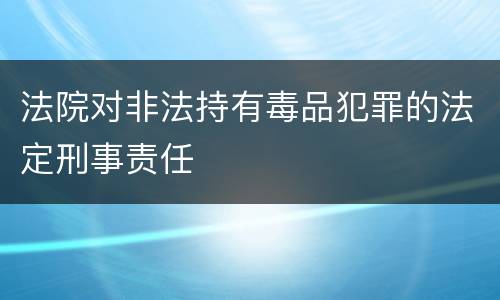 法院对非法持有毒品犯罪的法定刑事责任