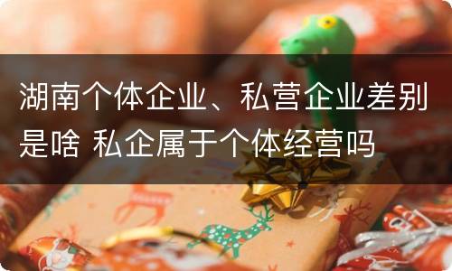 湖南个体企业、私营企业差别是啥 私企属于个体经营吗