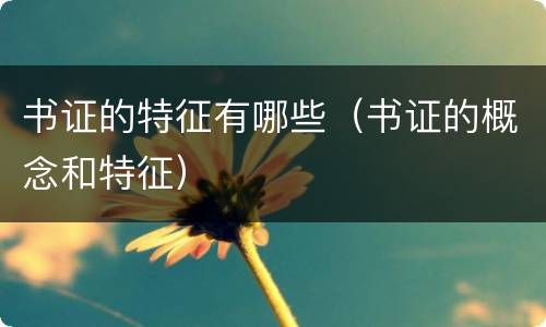 书证的特征有哪些（书证的概念和特征）