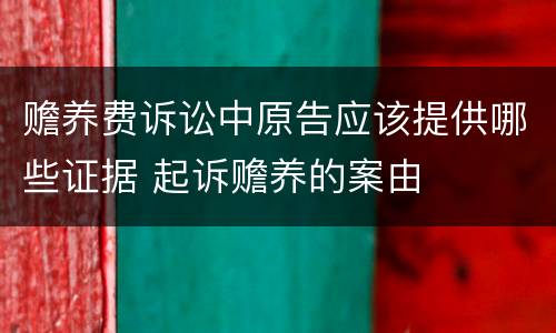 赡养费诉讼中原告应该提供哪些证据 起诉赡养的案由