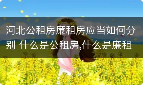 河北公租房廉租房应当如何分别 什么是公租房,什么是廉租房