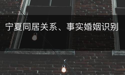宁夏同居关系、事实婚姻识别