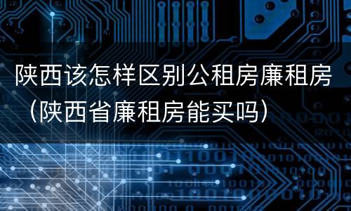 陕西该怎样区别公租房廉租房（陕西省廉租房能买吗）
