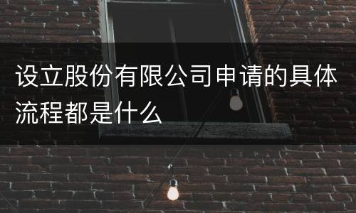 设立股份有限公司申请的具体流程都是什么
