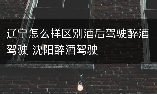 辽宁怎么样区别酒后驾驶醉酒驾驶 沈阳醉酒驾驶