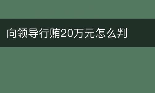 向领导行贿20万元怎么判