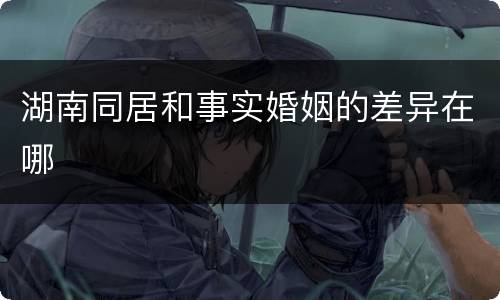 湖南同居和事实婚姻的差异在哪