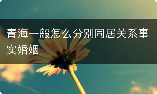 青海一般怎么分别同居关系事实婚姻