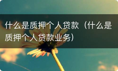 什么是质押个人贷款（什么是质押个人贷款业务）