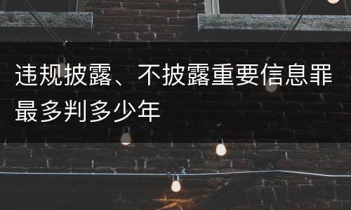 违规披露、不披露重要信息罪最多判多少年