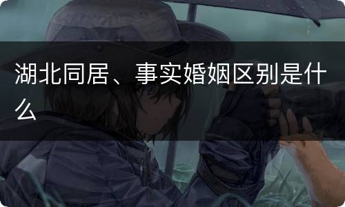 湖北同居、事实婚姻区别是什么