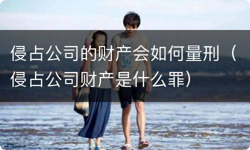 侵占公司的财产会如何量刑（侵占公司财产是什么罪）