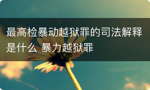 最高检暴动越狱罪的司法解释是什么 暴力越狱罪